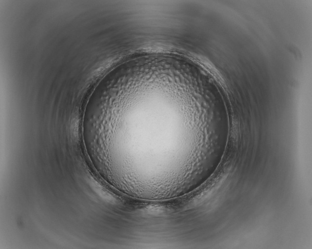 X0000111130441200906301213