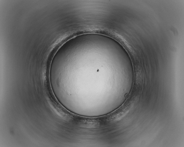 X0000111130443200906301213