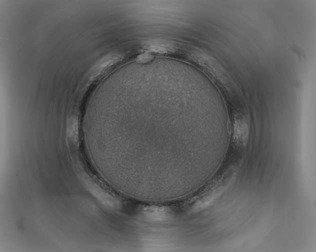 X0000111130444200906301213