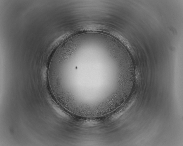 X0000111130445200906301213