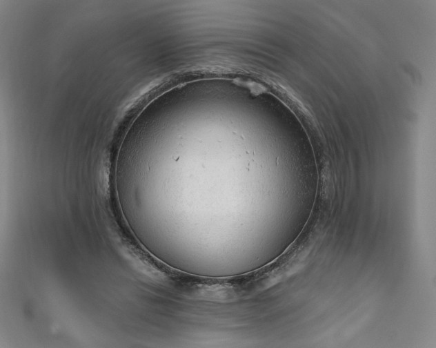 X0000111130446200906301213