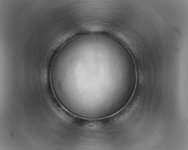 X0000111130447200906301213