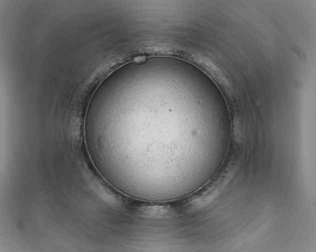 X0000111130449200906301213