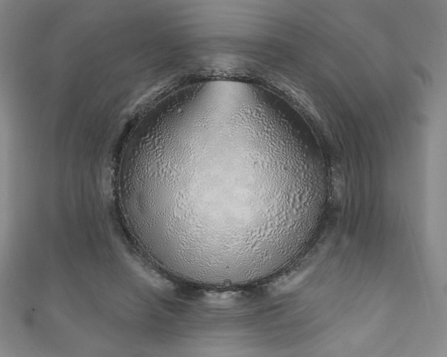 X0000111130450200906301213