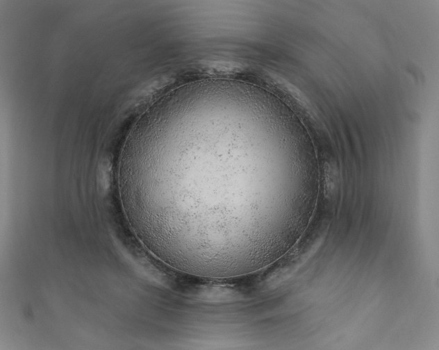 X0000111130451200906301213