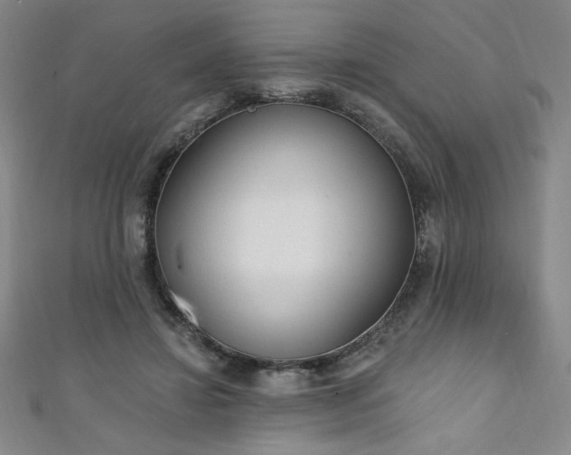 X0000111130452200906301213