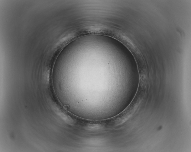 X0000111130454200906301213
