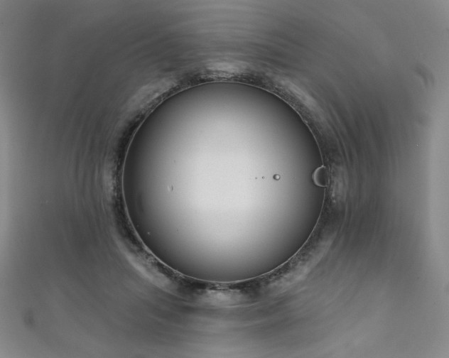 X0000111130455200906301213