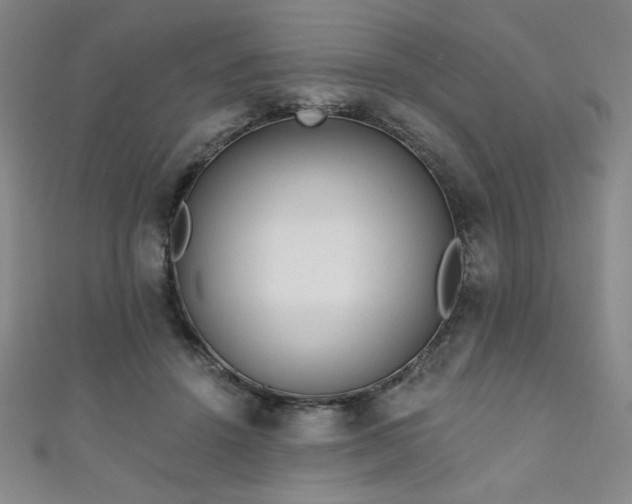X0000111130456200906301213