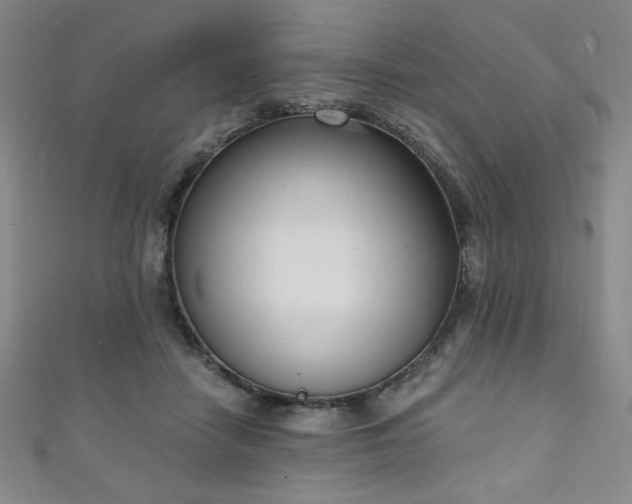 X0000111130458200906301213
