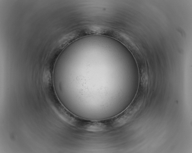 X0000111130459200906301213