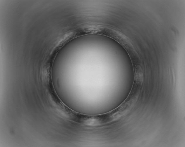 X0000111130460200906301214