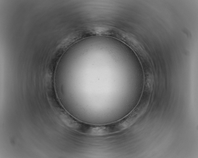 X0000111130461200906301214