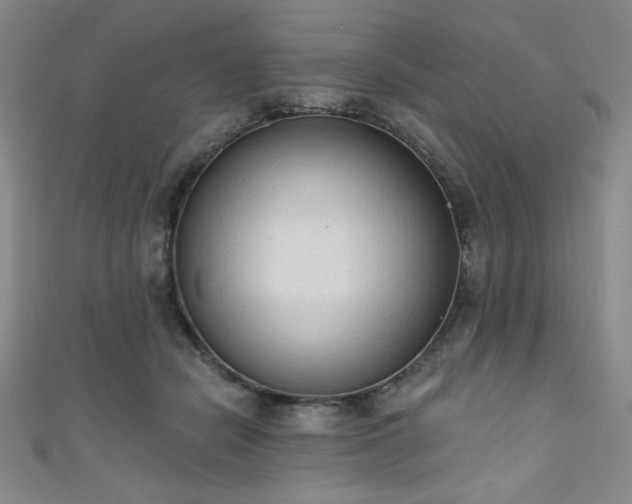 X0000111130462200906301214