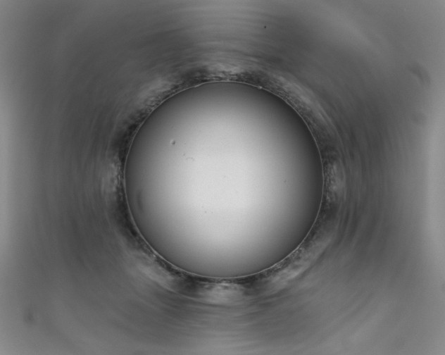 X0000111130463200906301214