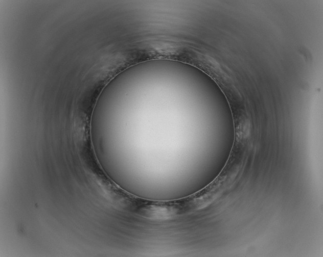 X0000111130464200906301214