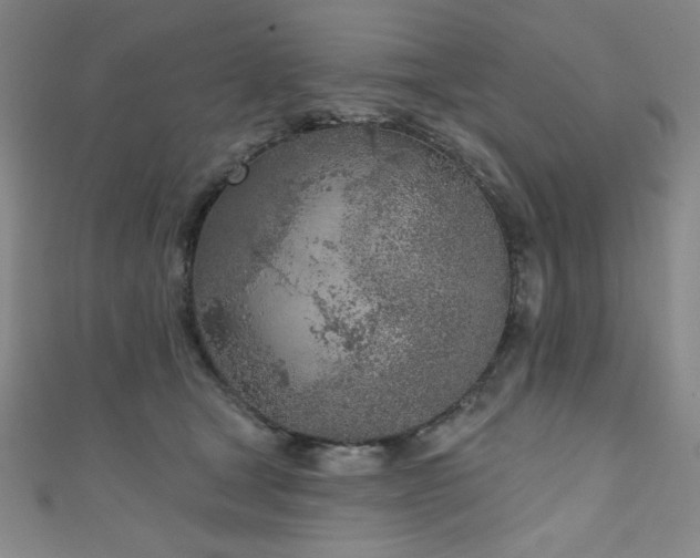 X0000111130465200906301214