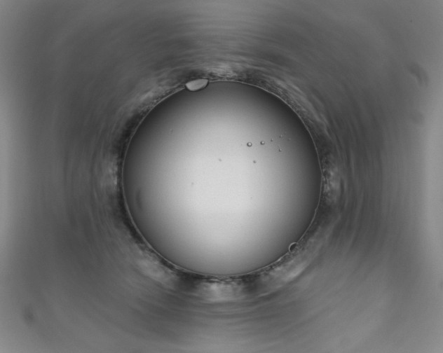 X0000111130466200906301214