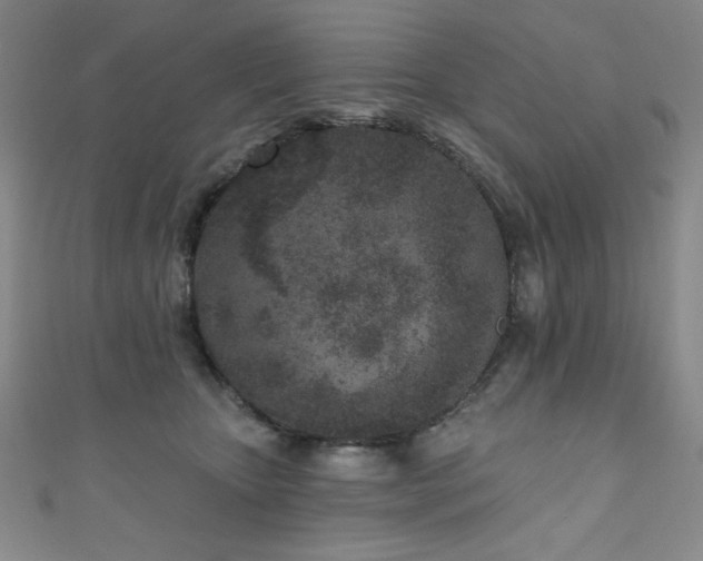 X0000111130467200906301214
