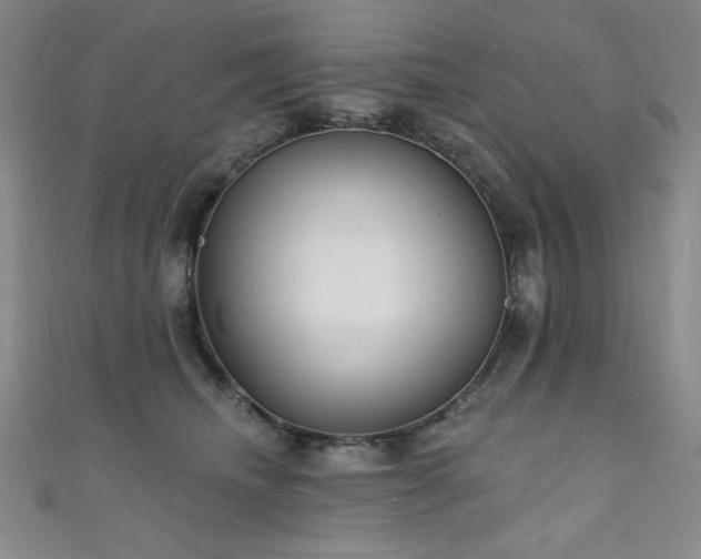 X0000111130468200906301214
