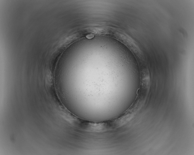 X0000111130469200906301214