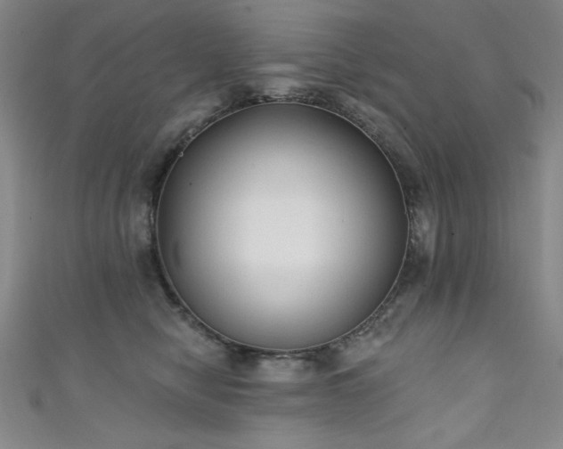 X0000111130470200906301214