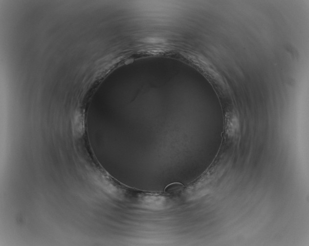 X0000111130471200906301214