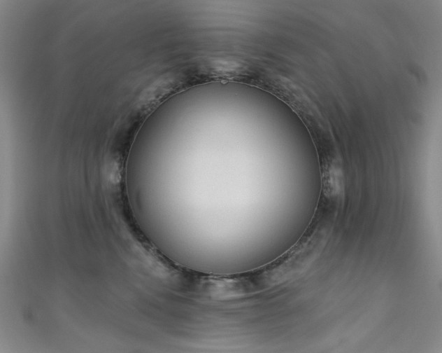 X0000111130472200906301214