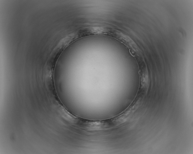 X0000111130473200906301214