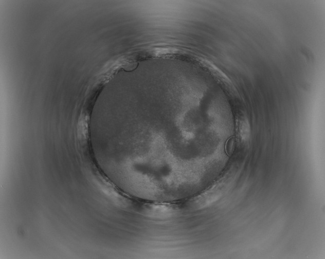 X0000111130475200906301214