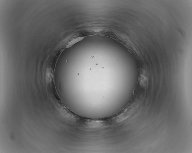 X0000111130476200906301214