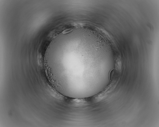 X0000111130477200906301214