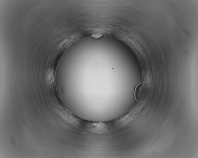 X0000111130478200906301214