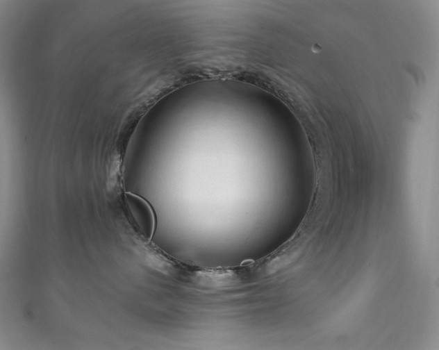 X0000111130480200906301214