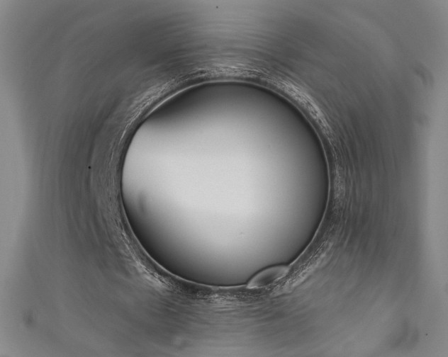 X0000111130481200906301213