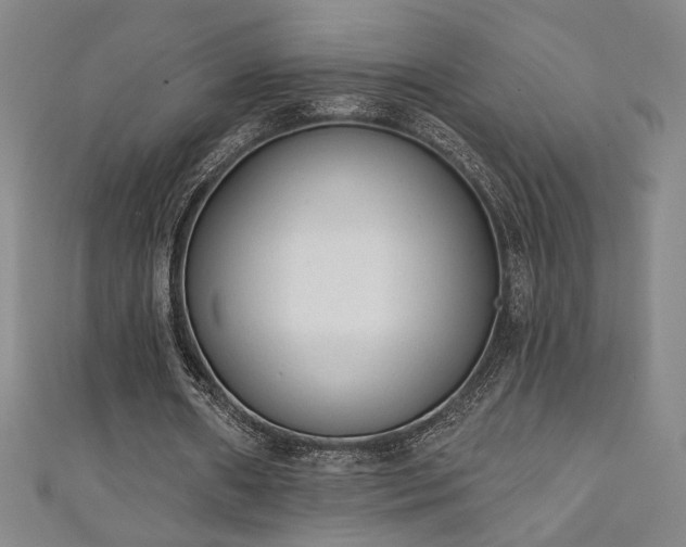 X0000111130482200906301213