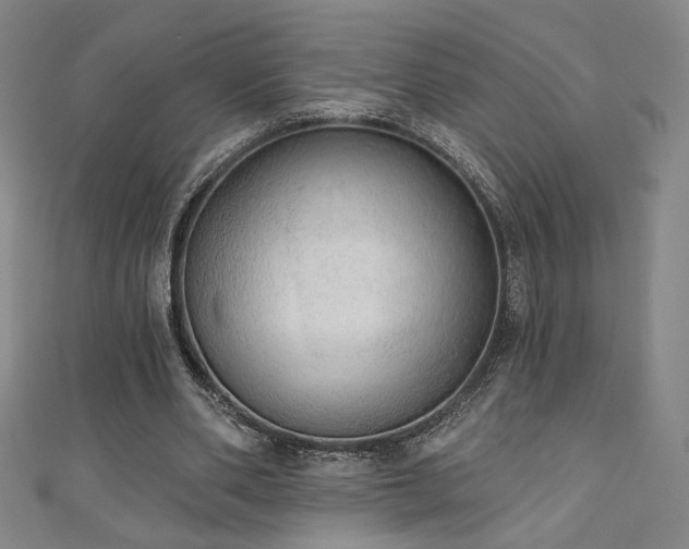 X0000111130486200906301213