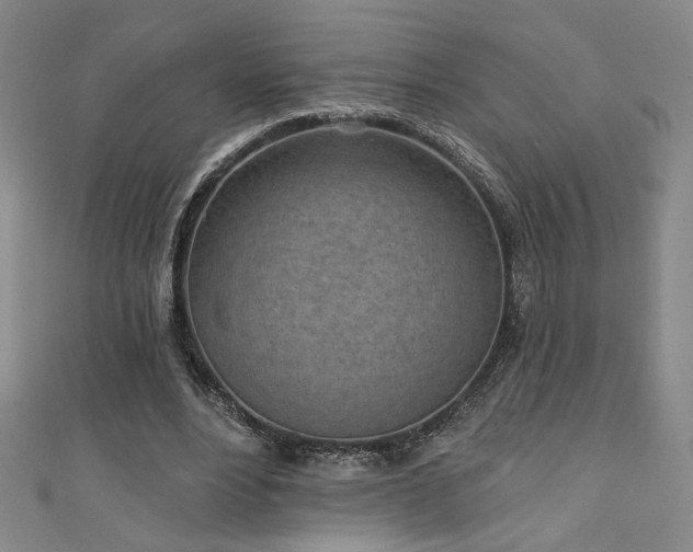 X0000111130488200906301213