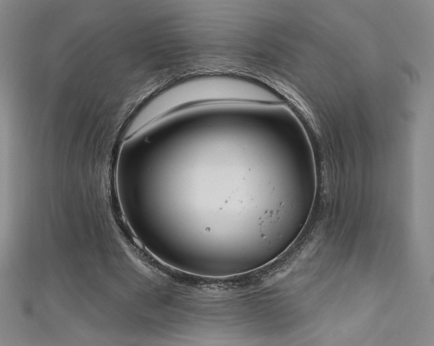 X0000111130489200906301213