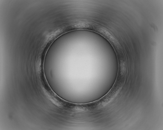 X0000111130490200906301213