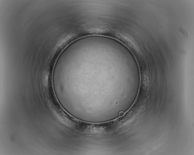 X0000111130491200906301213