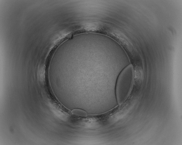 X0000111130492200906301213