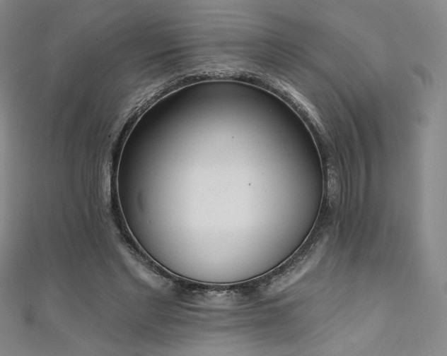 X0000111130493200906301213