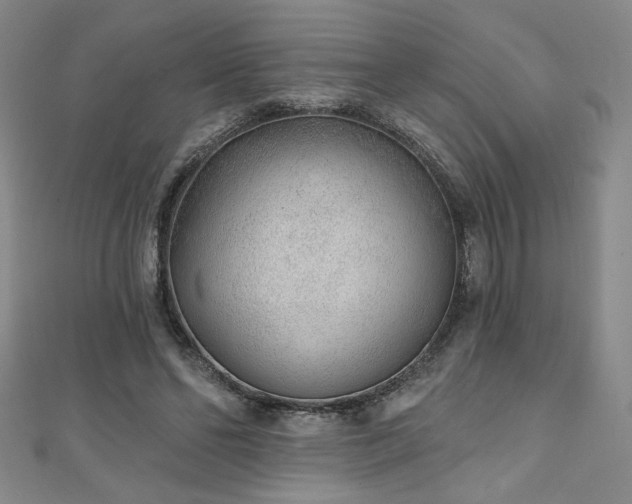 X0000111130494200906301213