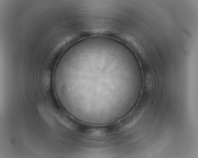 X0000111130495200906301213