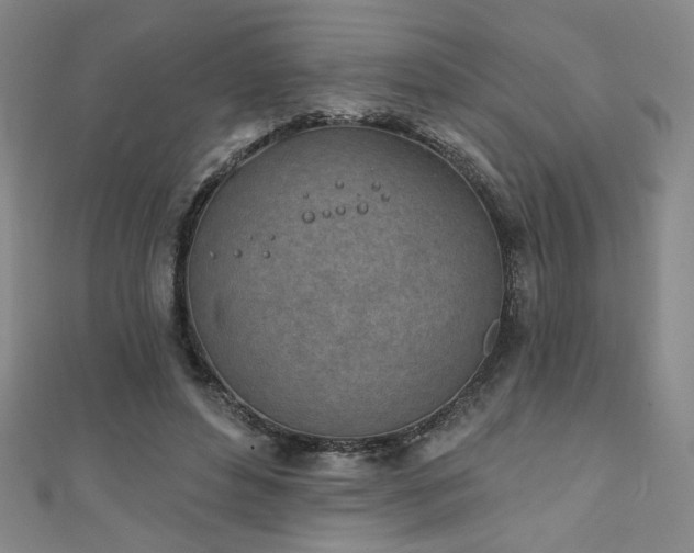 X0000111130496200906301213