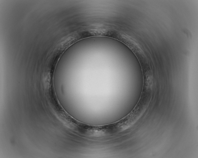 X0000111130498200906301213