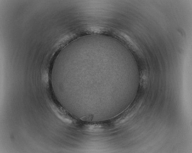 X0000111130500200906301213