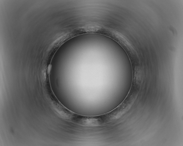 X0000111130501200906301213