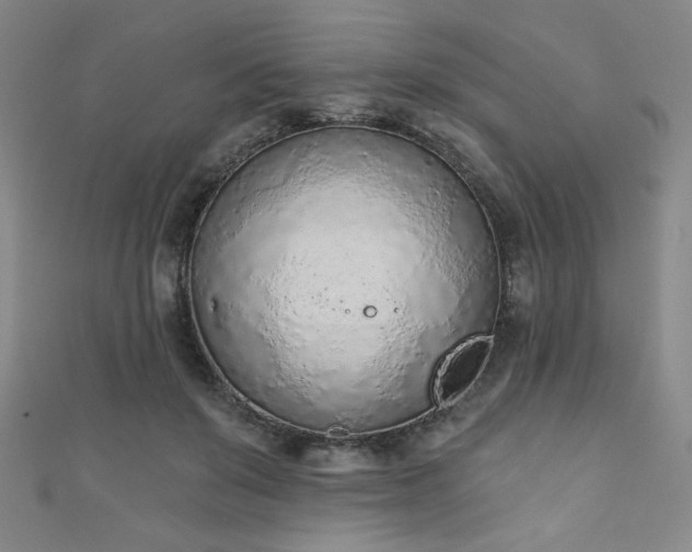 X0000111130503200906301213